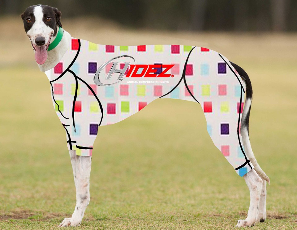 RACING-SUIT-PRINTED-MULTI-CHECK