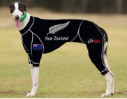 RACING-SUIT-PRINTED-NEW-ZEALAND