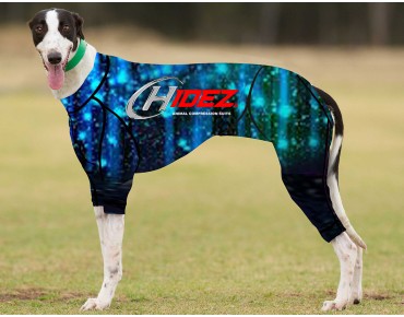 RACING-SUIT-PRINTED-NIGHT-ROCKS