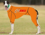 RACING-SUIT-PRINTED-ORANGE