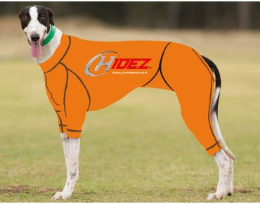 RACING-SUIT-PRINTED-ORANGE