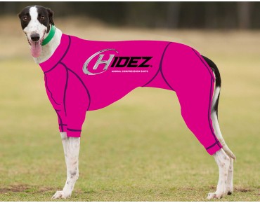 RACING-SUIT-PRINTED-PINK