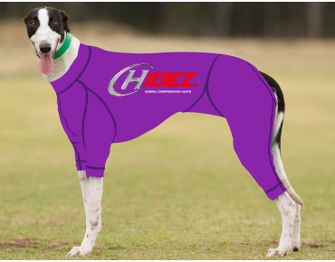 RACING-SUIT-PRINTED-PURPLE