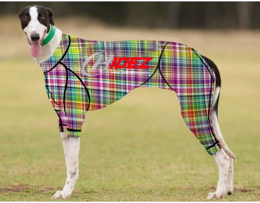 RACING-SUIT-PRINTED-RAINBOW