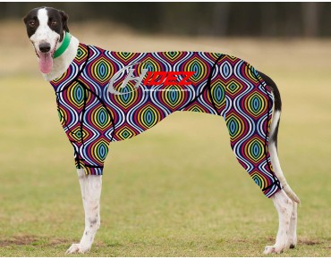 RACING-SUIT-PRINTED-SEAMLESS