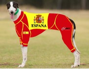 RACING-SUIT-PRINTED-SPAIN-SUIT-1