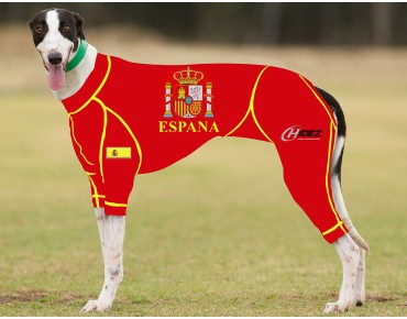 RACING-SUIT-PRINTED-SPAIN-SUIT-2
