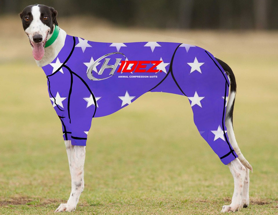 RACING-SUIT-PRINTED-STAR-PURPLE--WHITE