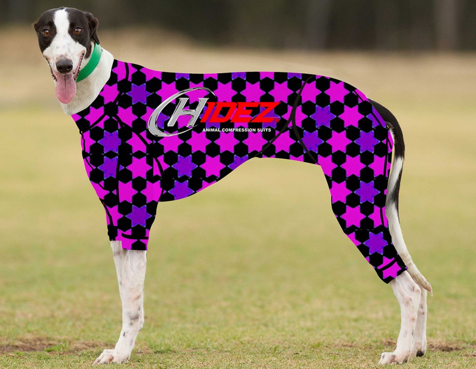 RACING-SUIT-PRINTED-STARS-BLACK-PURPLE-PINK