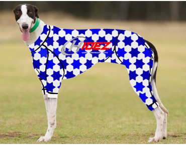 RACING-SUIT-PRINTED-STARS-WHITE-BLUE-NAVY