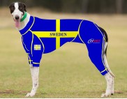 RACING-SUIT-PRINTED-SWEDEN