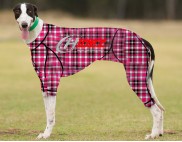 RACING-SUIT-PRINTED-TARTAN-PINK