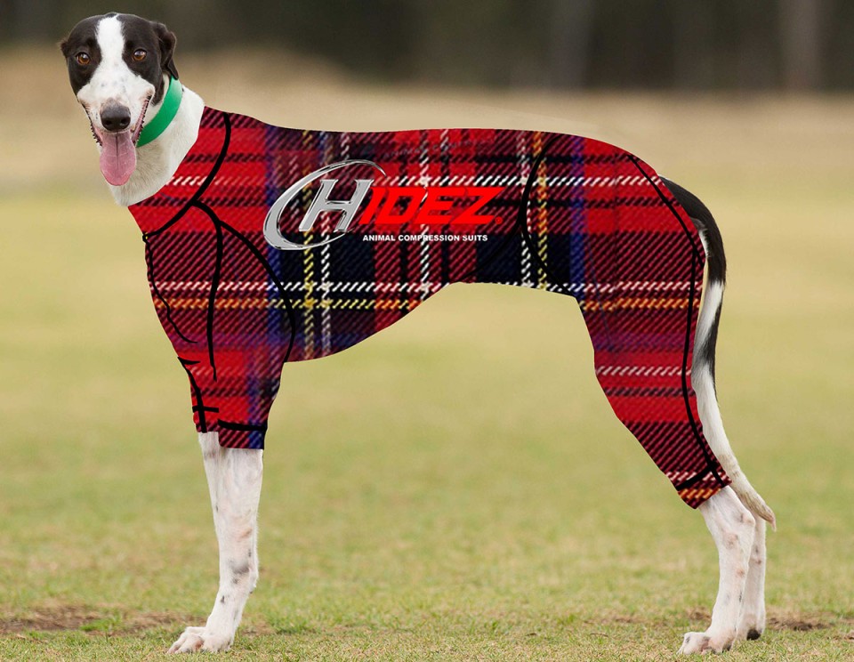 RACING-SUIT-PRINTED-TARTAN-RED