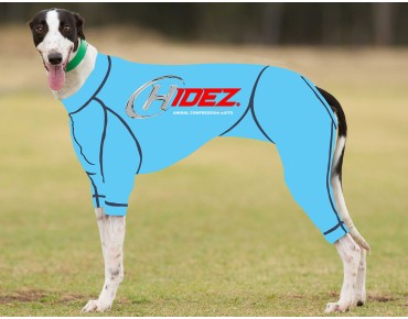 RACING-SUIT-PRINTED-TURQUOISE
