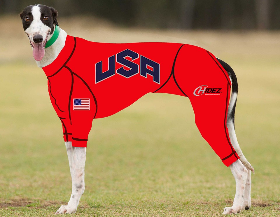 RACING-SUIT-PRINTED-USA