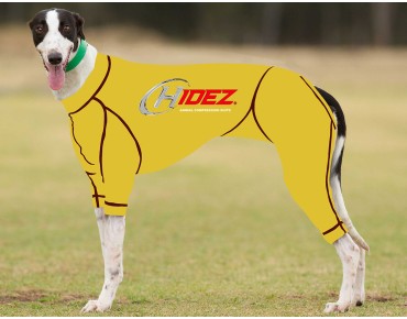 RACING-SUIT-PRINTED-YELLOW