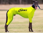 FLURO YELLOW