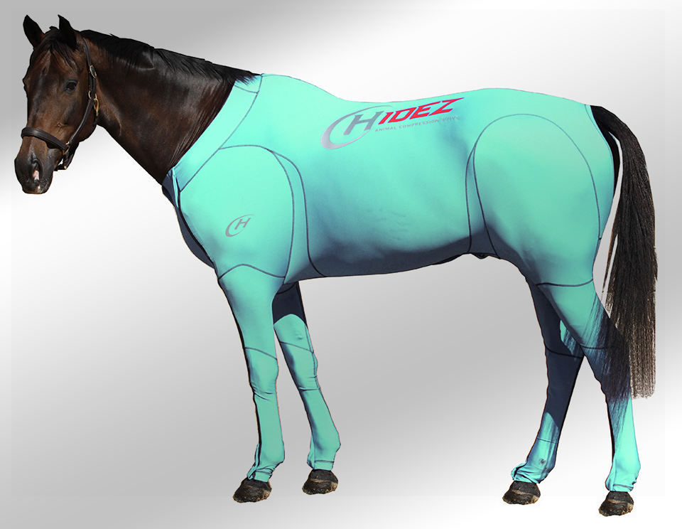 EQUINE SUIT AQUAMARINE