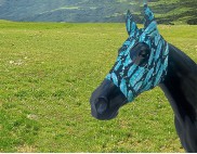 FEATHERS WATER TURQUOISE