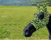 CHEETAH FLURO YELLOW