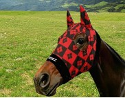 BLACK AND RED SQUARES WITH BLACK BAND