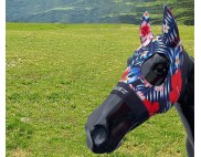 RED HIBISCUS BLACK BANDS