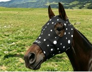 BLACK WITH WHITE SPOTS