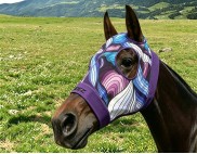 PURPLE AND BLUE SWIRLS