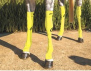 FLURO YELLOW WITH WITH BLACK STITCHING