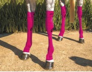 FUCHSIA WITH BLACK STITCHING