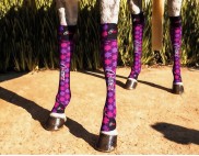 PINK AND PURPLE STARS