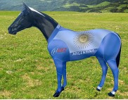 PRINTED COUNTRY SUIT ARGENTINA