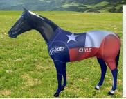 PRINTED COUNTRY SUIT CHILE