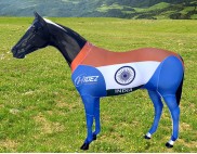 PRINTED COUNTRY SUIT INDIA