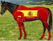 PRINTED COUNTRY SUIT SPAIN