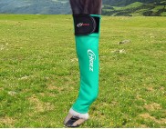 GREEN WITH GREEN STITCHING