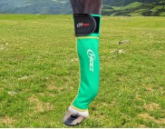GREEN WITH ORANGE STITCHING
