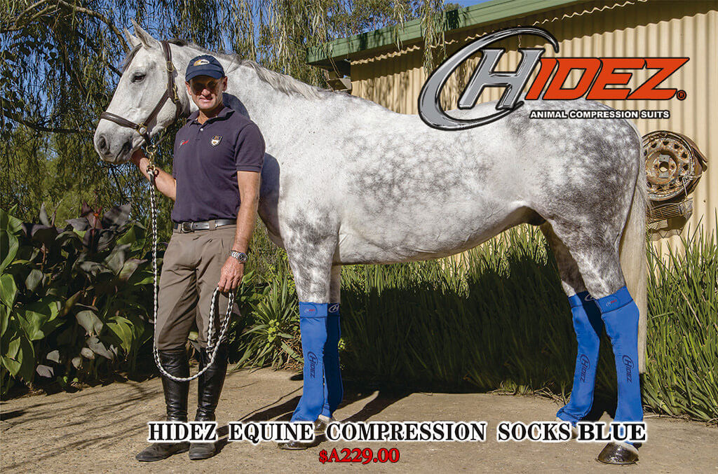 EQUINE TRAVEL & RECOVERY SUIT PRINTED- Orange main image 1