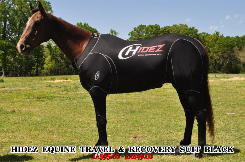 Animal Performance, Recovery & Travel suit Hidez Products Horse