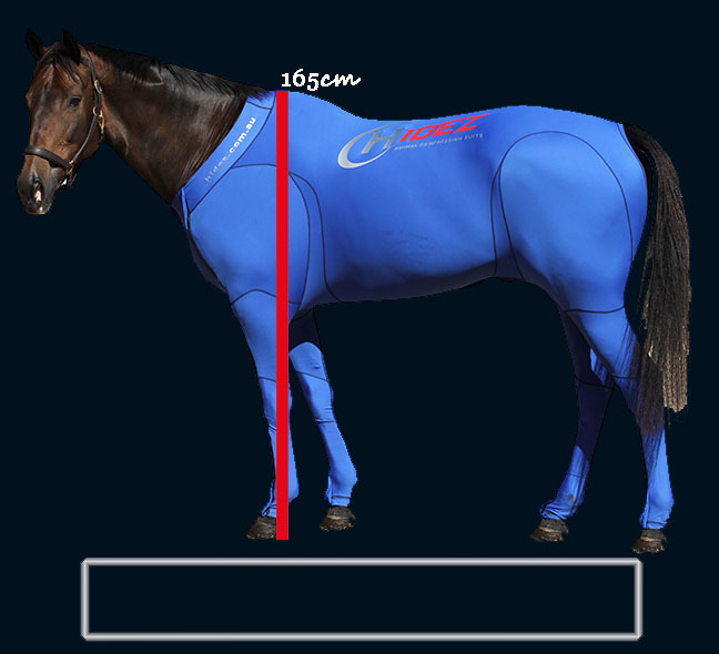 Horse Height Conversion Chart