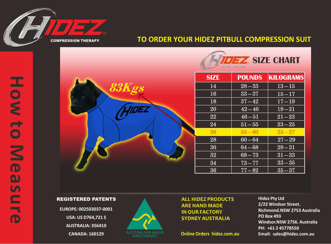 Pitbull dog clothing sizing and measuring guide
